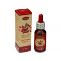 Rosehip oil, beautiful and healthy skin, 20 ml