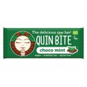 Choco Mint Raw Vegan Bar, QuinBite - 30 g