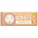 Blueberry Raw Vegan Bar, QuinBite - 30 g