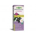 Sambucus Kids, Standardized Elderberry, Nature's Way, 120 ml