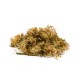 Arnica, (Arnica montana L.), dried flower, Bilkaria, 10 g