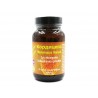 Cordyceps Militaris Immuno, dry extract, 90 capsules