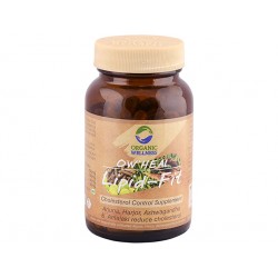 Lipid-Fit, cholesterol control, Organic Wellness, 90 capsules
