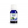 Pure Juniper essential oil, Eterina, 10 ml