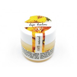 Lip balm - pineapple, Hristina, 30 ml
