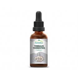Tribulus Plus, herbal tincture, 50 ml