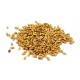 Kochia (Kochia scoparia) - dried seeds, Bilkaria, 100 g
