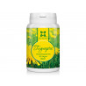 Dandelion - extract, Panacea, 90 capsules
