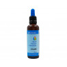 Exam, Bach Flower Remedies, Bioherba, 50 ml