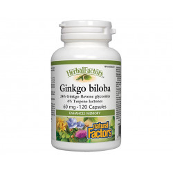 Ginkgo Biloba, enhances memory, Natural Factors, 120 capsules