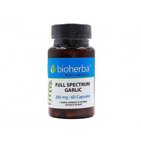 Full spectrum Garlic with Thiamine, Bioherba, 60 capsules