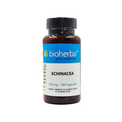 Echinacea, Bioherba, 100 capsules