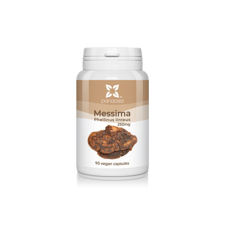 Messima Mushroom - extract, Panacea, 90 capsules