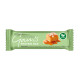 Vegan Protein Bar - Salted Caramel, Gam's, 40 g