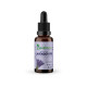 Lavender oil, nervous system support, Zdravnitza, 50 ml