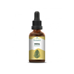 Great Horsetail - tincture, Herbalkan, 50 ml