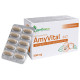 AmyVital B17 - Amygdalin from apricot kernels, Zdravnitza, 60 capsules