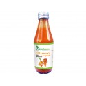 Sea buckthorn, carrot and honey juice (100% organic)