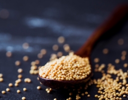 Mustard seeds for cold, flu, rheumatism (folk recipes)