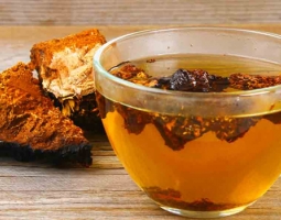 Siberian Chaga - the new old superfood