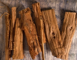 Cat's claw - immunomodulator №1