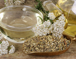 Yarrow and mint tea for good digestion and healthy teeth