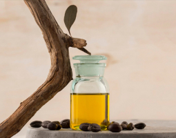 Кои са най-ценните растителни масла? (част 1)