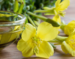 Масло от вечерна иглика - здравословни ползи и приложение