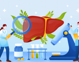 Черният дроб - главната лаборатория на организма