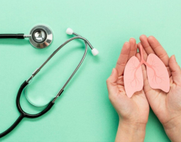 Proper nutrition for sick kidneys. Allowed and forbidden foods