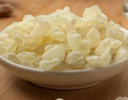 Mastic - the white tears of Chios