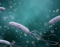 Хеликобактер пилори – какво представлява бактерията и как да се справим с нея