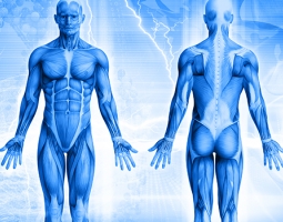 Кои са най-ефикасните продукти за борба с паразитите в организма?