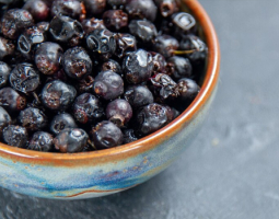 Забравените здравословни ползи от касиса