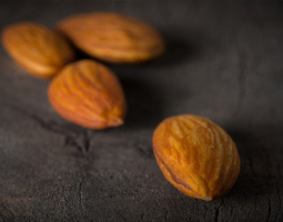 Полезните свойства на горчивите кайсиеви ядки