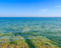 Marine Magnesium: A Treasure for Your Health with Natural Power from Seawater