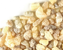 Как и защо босвелията подпомага здравето на ставите и мускулите?