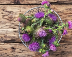 Масло от бял трън - природен лек срещу проблемите с черния дроб